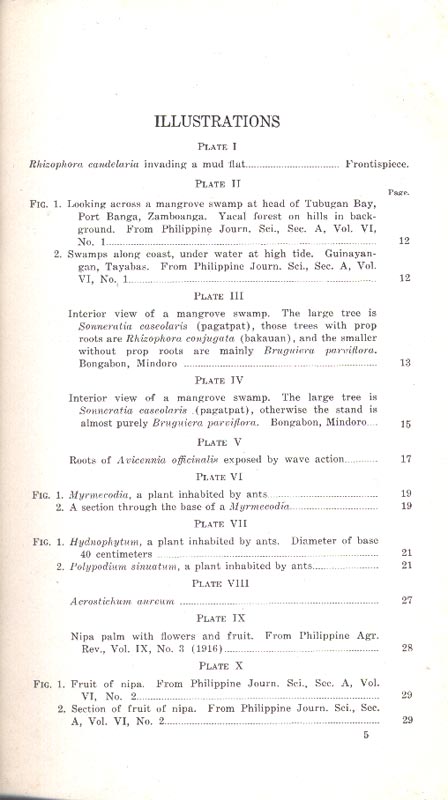 Philippine Mangrove Swamps - aus dem Buch